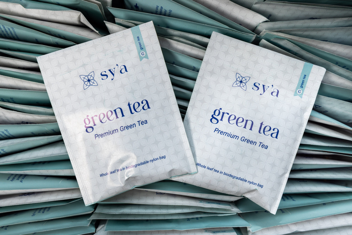 Green Tea - 100 Biodegradable Pyramid Tea Bags - sy’a