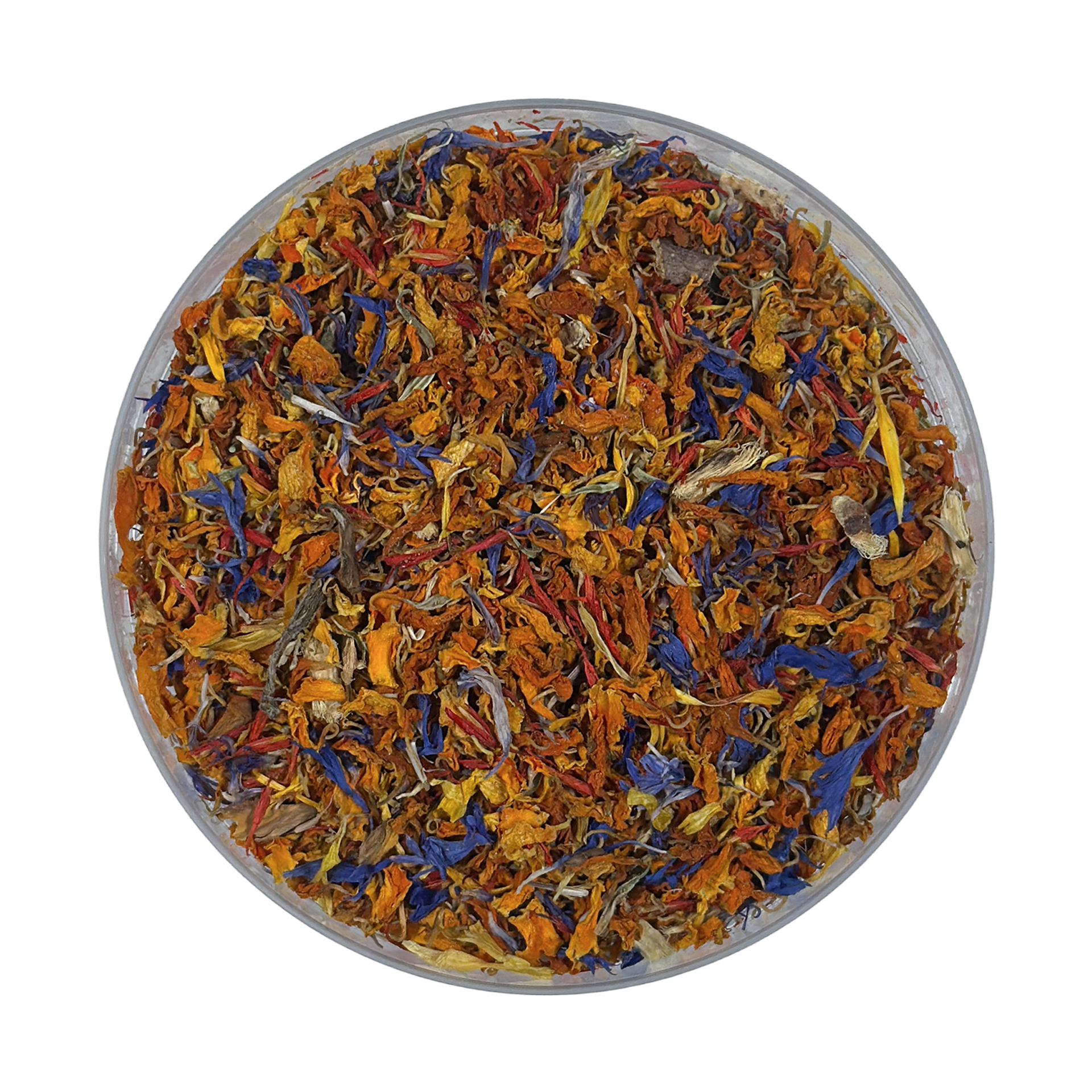 Marigold Mystique