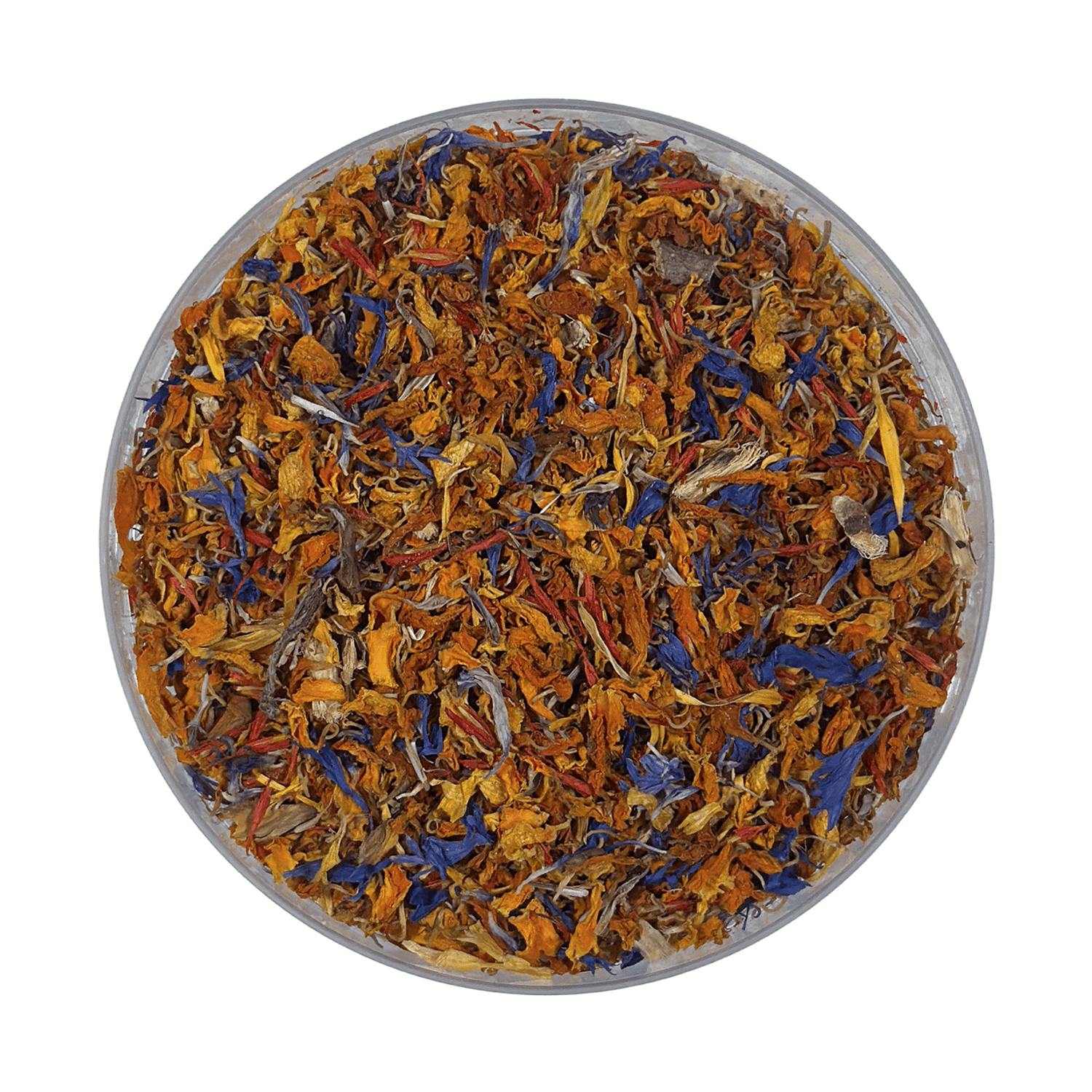 Marigold Mystique - sy’a