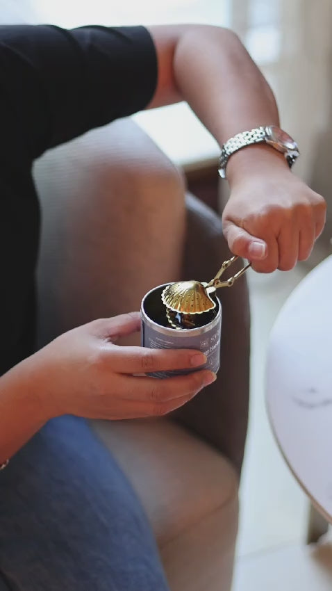 Blue Tea and Sea Shell Infuser