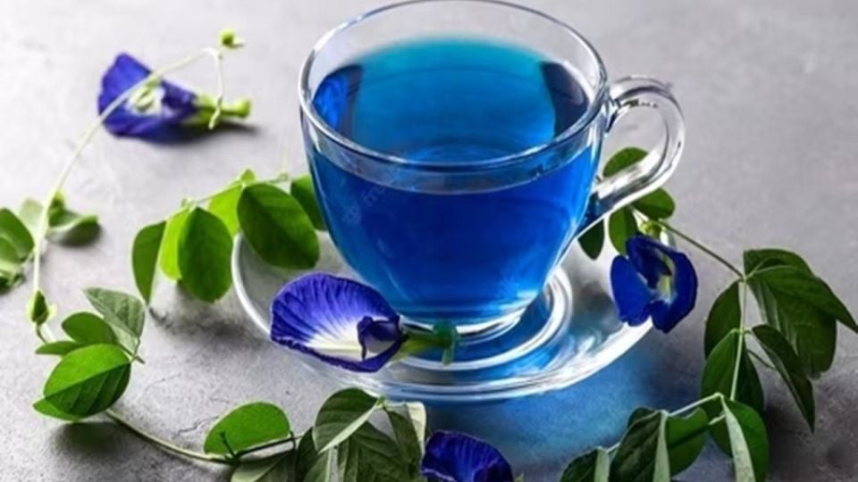 discover the wonders of blue tea: unveiling the health benefits of butterfly pea flower