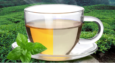 unlocking the secrets: green tea vs. white tea