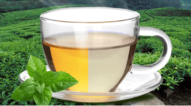 unlocking the secrets: green tea vs. white tea - sy’a