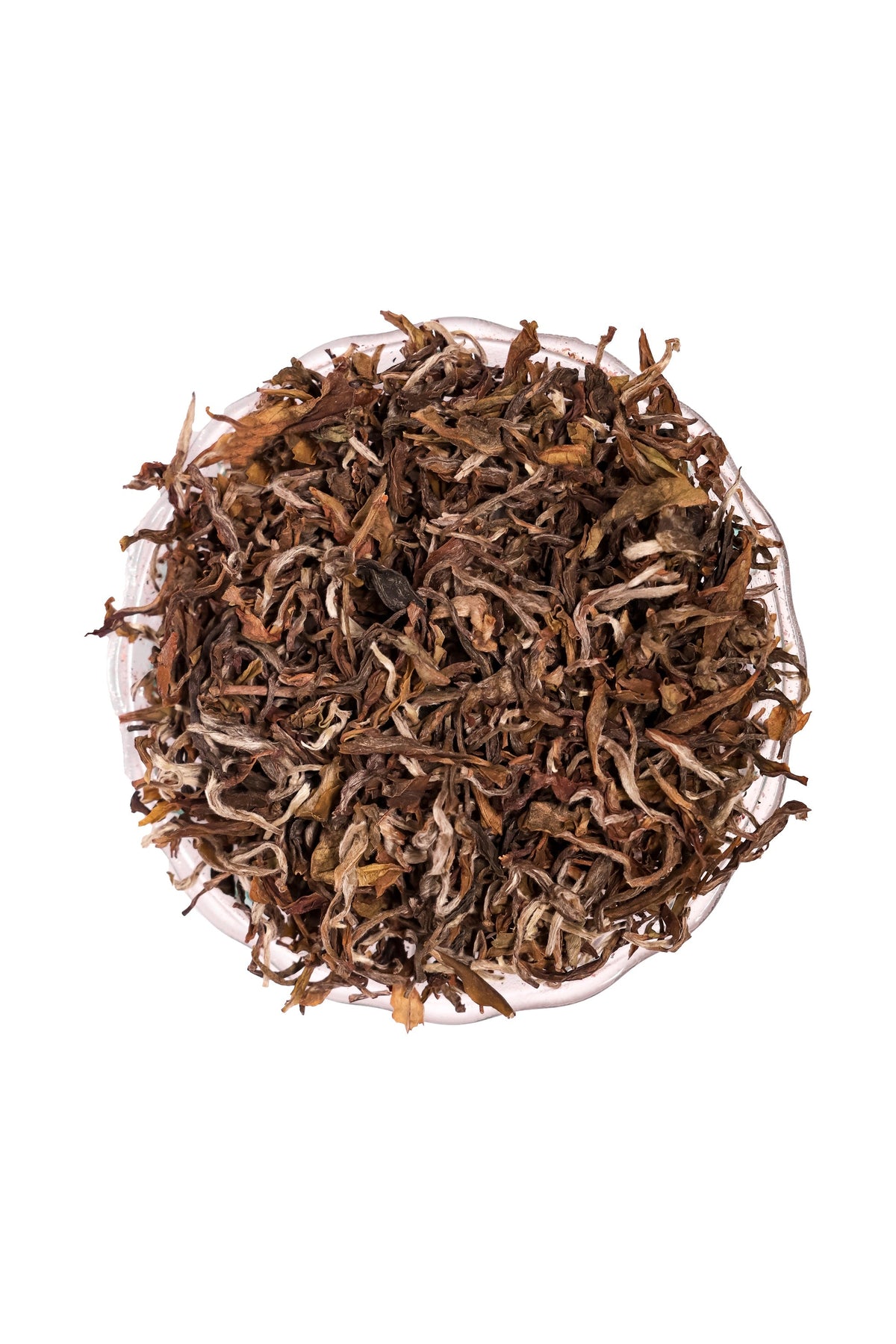 Darjeeling Tea in UAE - Sy'a Teas – sy’a