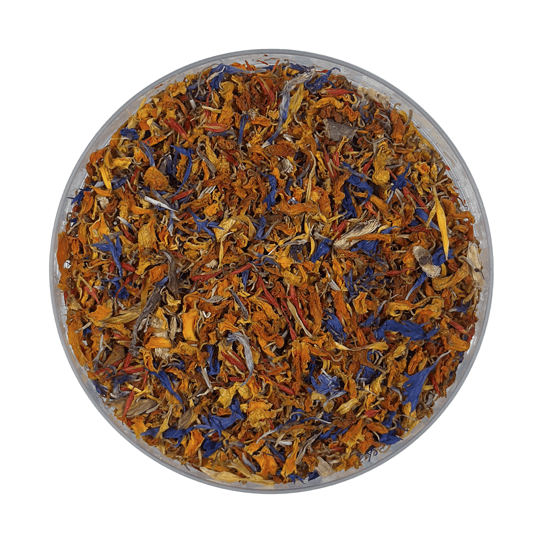 Marigold Mystique - sy’a