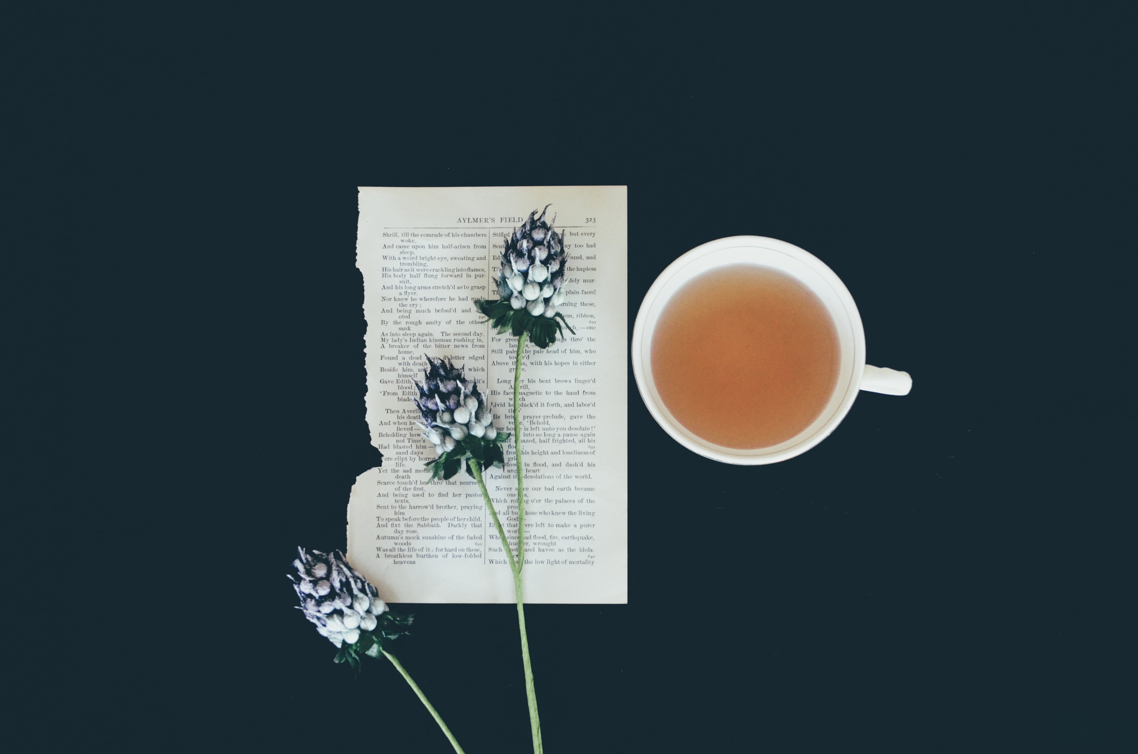 tea cup beside a page of book and flowers on it
